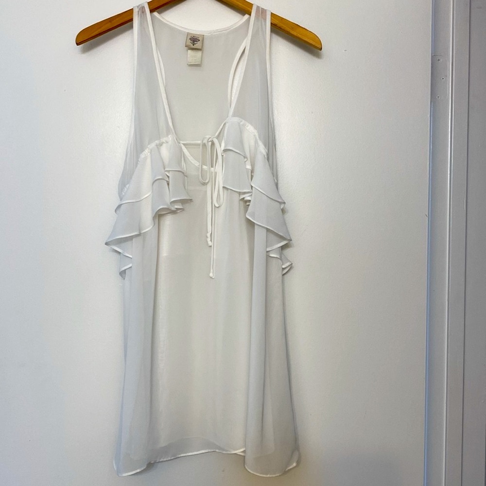In Bloom By Joyquil Gorgeous Sheer lingerie Nightie-
